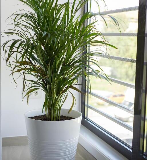 Apartments Steel Residence