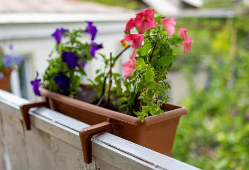 هاستل Tsera House