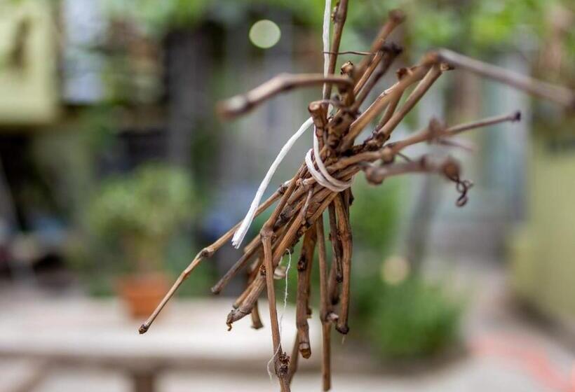 هاستل Tsera House