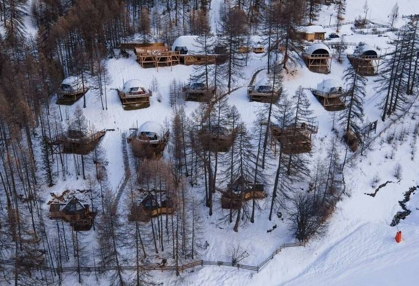 酒店 Alpin D Hôme Hôtel & Spa