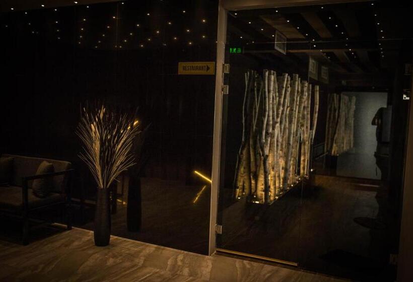 هتل International Palace