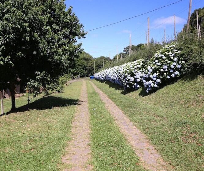 Отель Murialdo Caxias