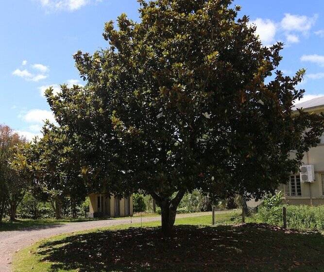 Отель Murialdo Caxias