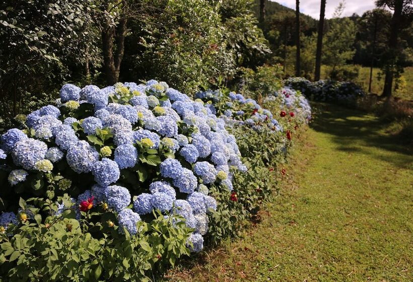 Отель Murialdo Caxias