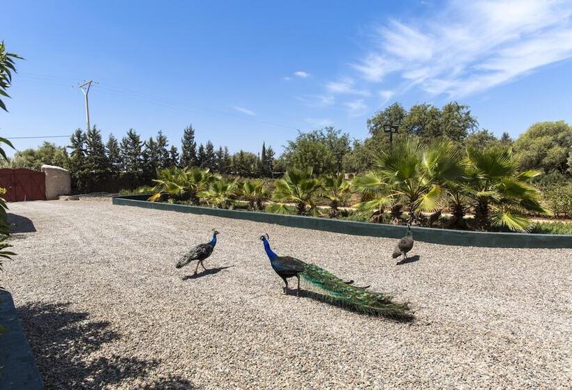 פנסיון Riad Les Trois Merveilles