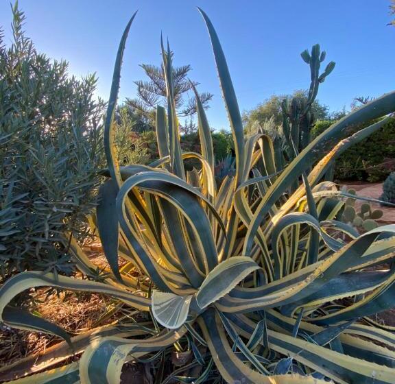 פנסיון Riad Les Trois Merveilles