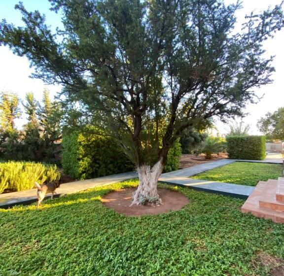 פנסיון Riad Les Trois Merveilles