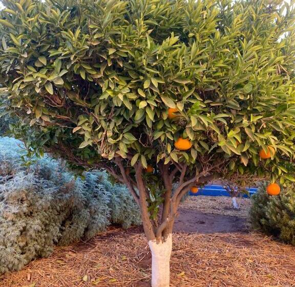 פנסיון Riad Les Trois Merveilles