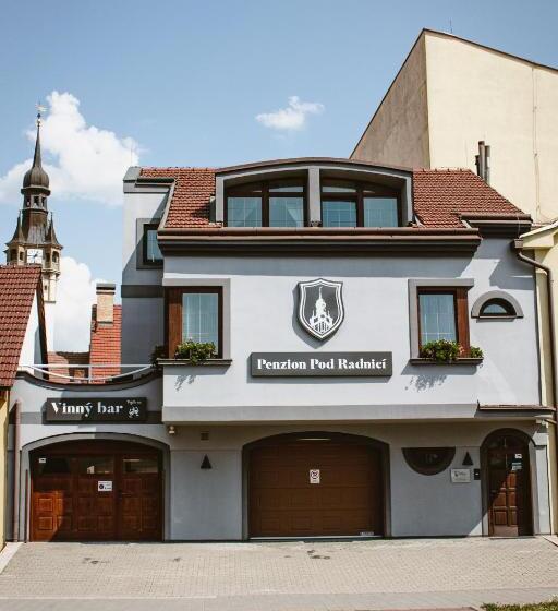 Пансион Penzion Pod Radnicí