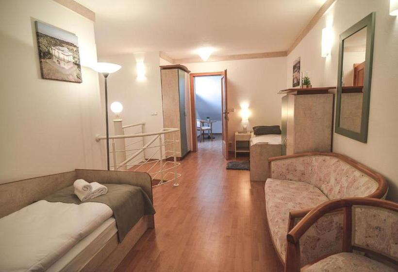 Пансион Penzion Pod Radnicí