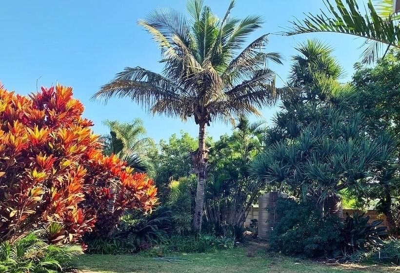 פנסיון The Wilds Guest House