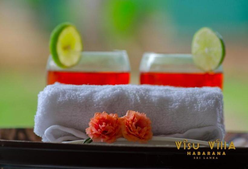 Пансион Visu Villa