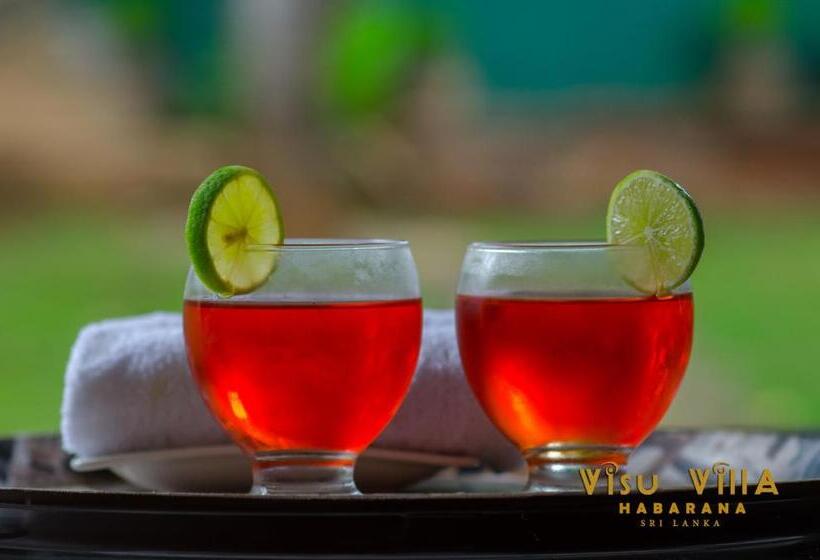 Пансион Visu Villa