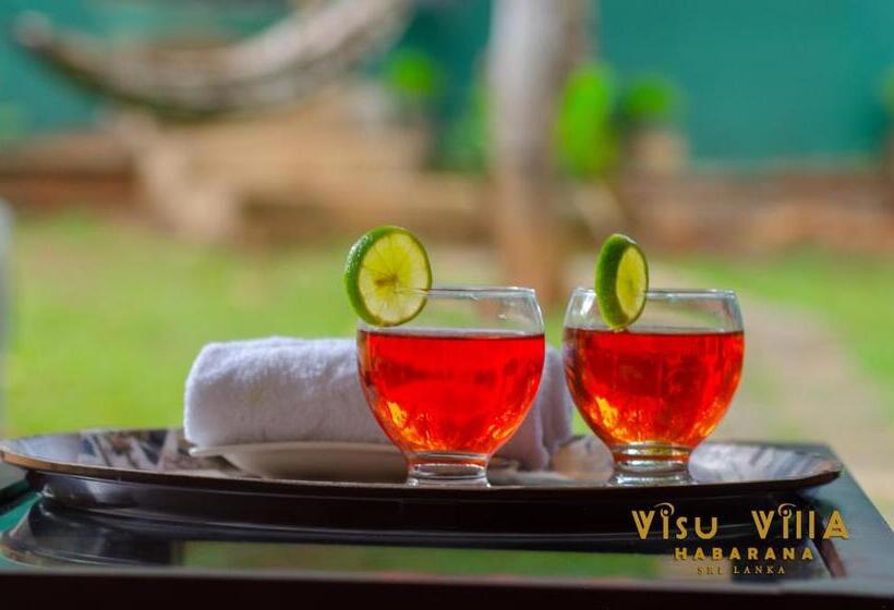 Пансион Visu Villa