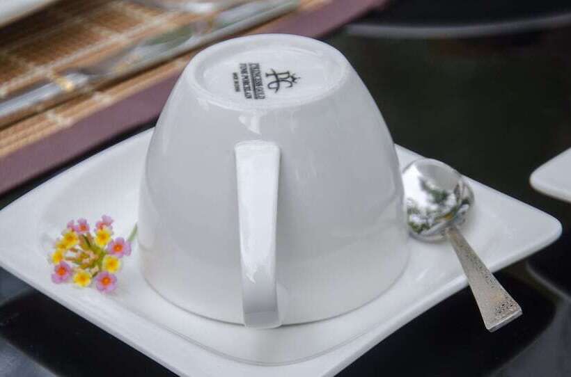 Пансион Visu Villa