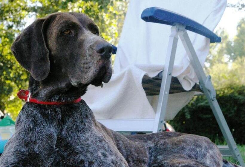 Курорт Mobilhome Superior