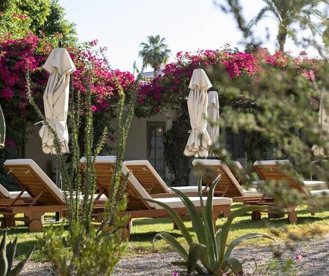 Bed and Breakfast Casa Cody