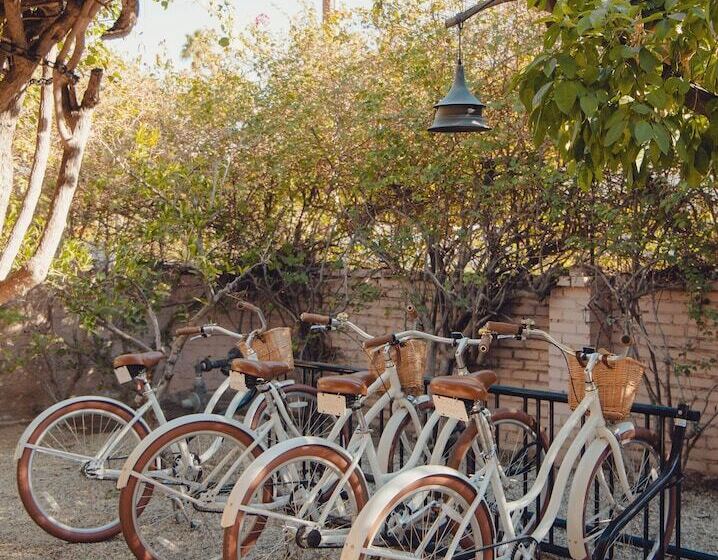 Bed and Breakfast Casa Cody