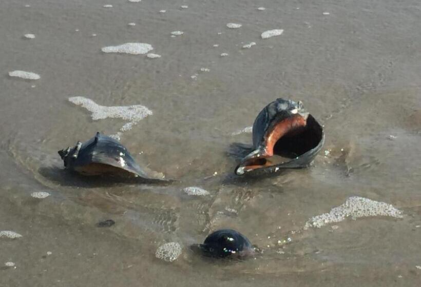 酒店 2310 Central Avenue