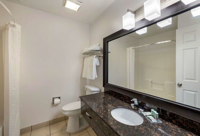 فندق Best Western Mesquite Inn