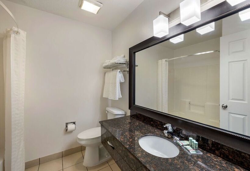 فندق Best Western Mesquite Inn