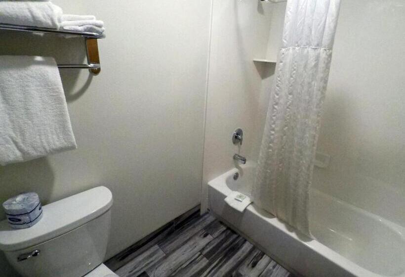 فندق Bumbleberry Inn