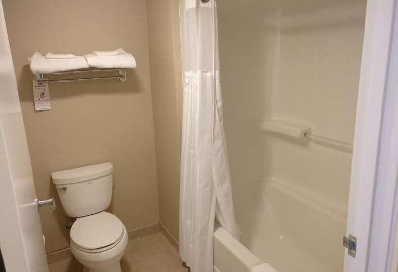 ホテル Burbank Inn And Suites