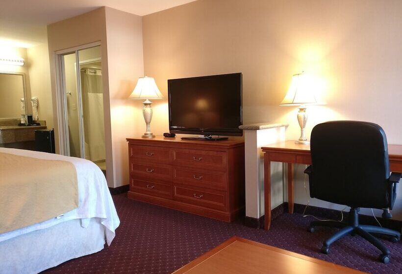 酒店 Burbank Inn And Suites