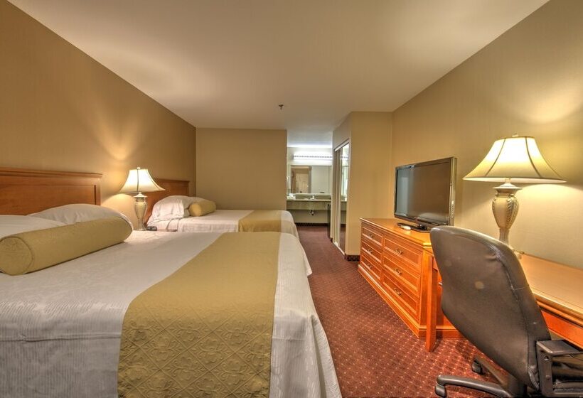 ホテル Burbank Inn And Suites