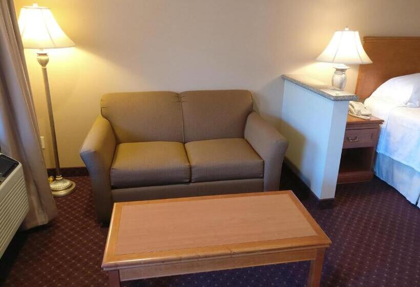 호텔 Burbank Inn And Suites