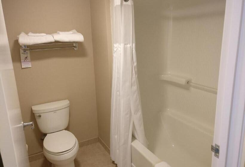 酒店 Burbank Inn And Suites