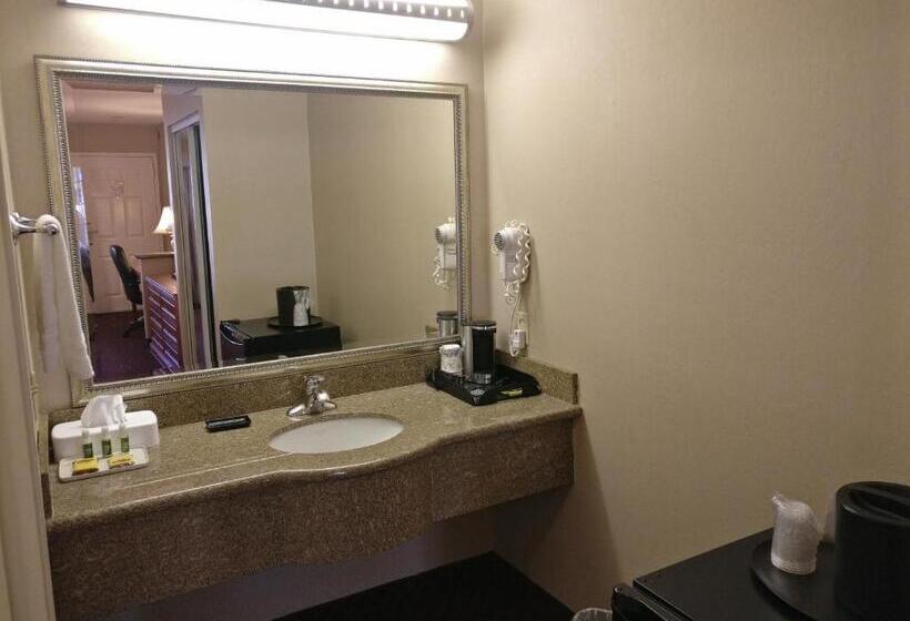 ホテル Burbank Inn And Suites