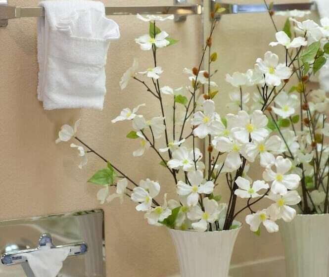 ホテル Calipatria Inn And Suites