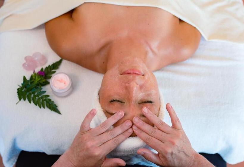 호텔 Calistoga Motor Lodge And Spa, A Jdv By Hyatt