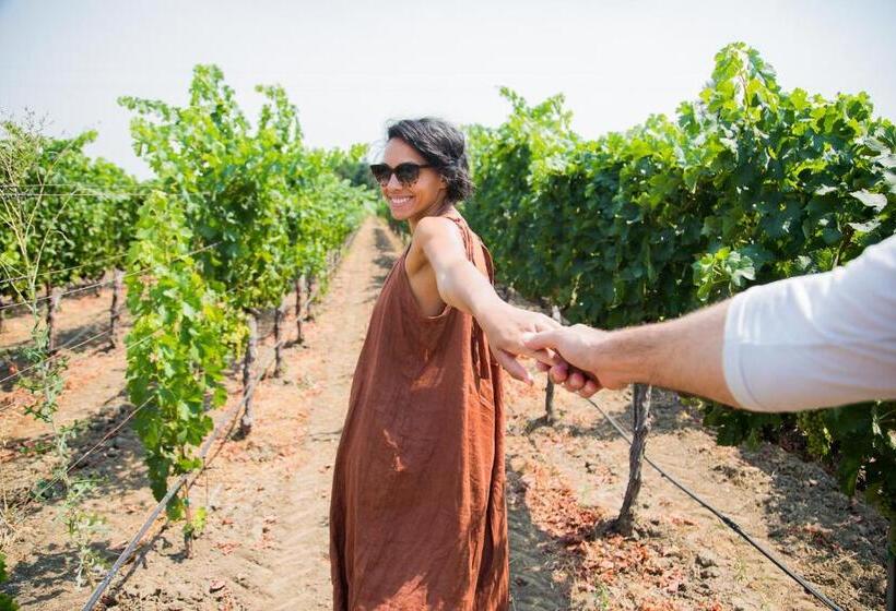 Отель Calistoga Motor Lodge And Spa, A Jdv By Hyatt