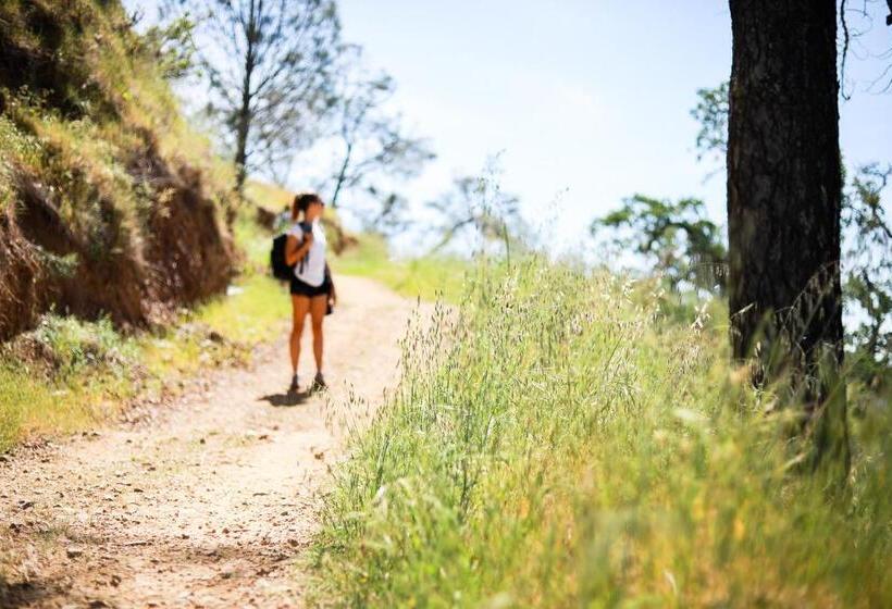 Отель Calistoga Motor Lodge And Spa, A Jdv By Hyatt