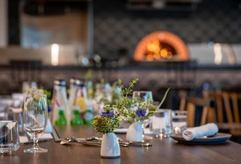 Отель Calistoga Motor Lodge And Spa, A Jdv By Hyatt