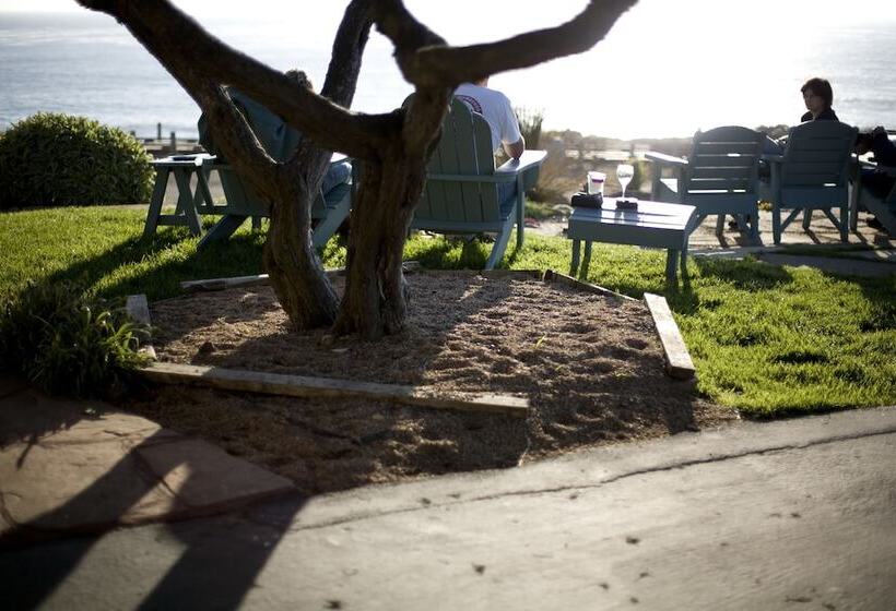 酒店 Cambria Shores Inn