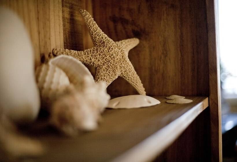 酒店 Cambria Shores Inn