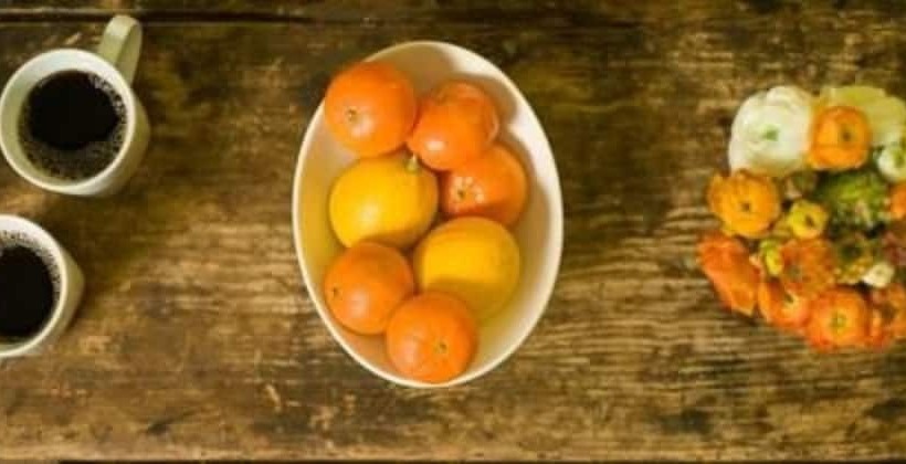 فندق Camellia Inn