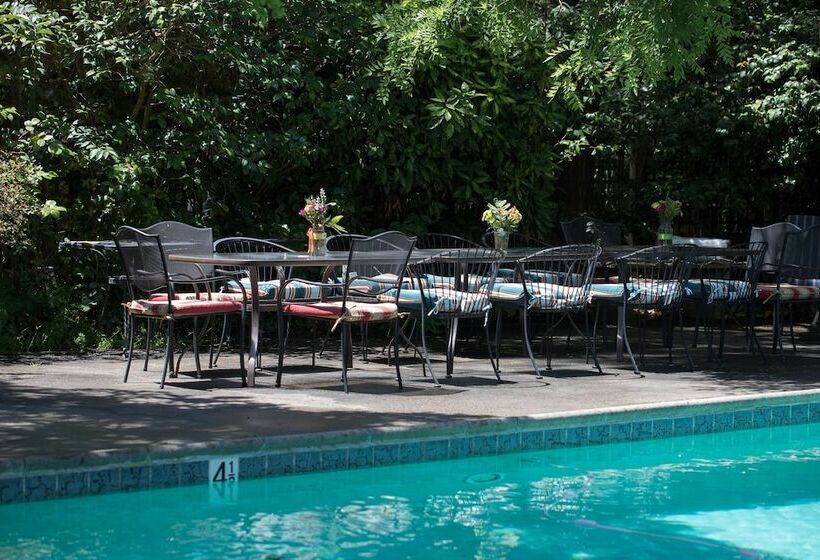 فندق Camellia Inn