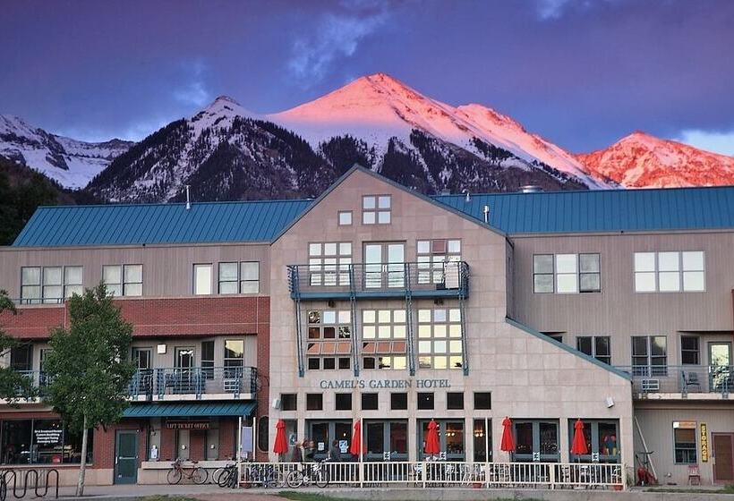 호텔 Camels Garden