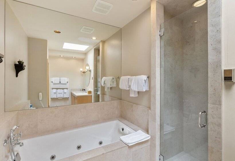 호텔 Camels Garden