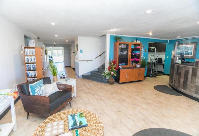 فندق Canterbury Inn