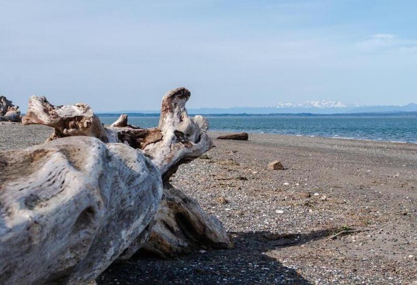 فندق Canterbury Inn