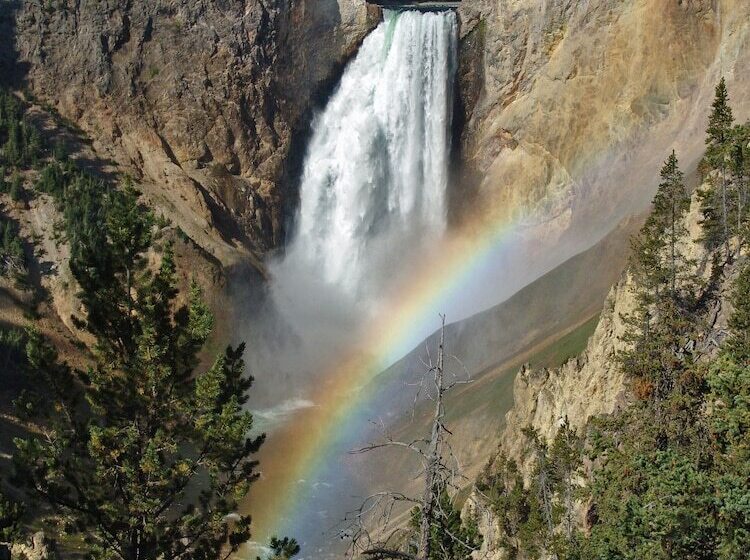 فندق Canyon Lodge & Cabins   Inside The Park