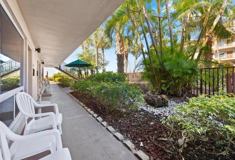 فندق Caribbean Beach Club