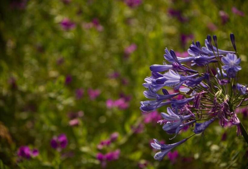 酒店 Carmel River Inn