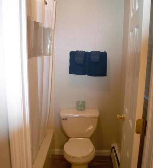 酒店 Carrier Motor Lodge