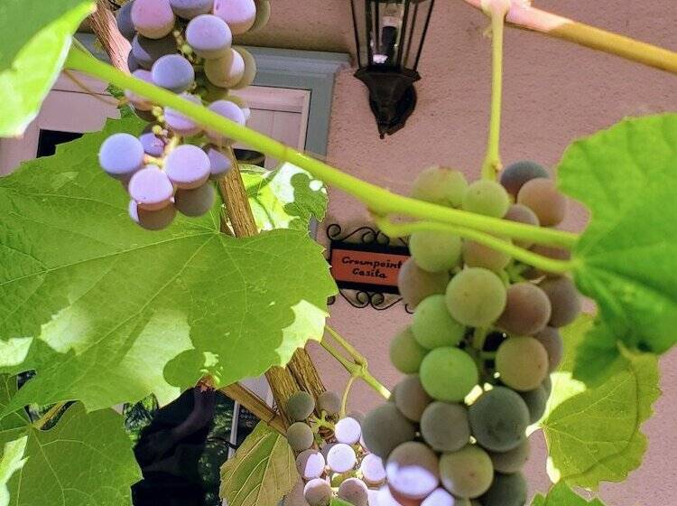 酒店 Casa Blanca Inn And Suites